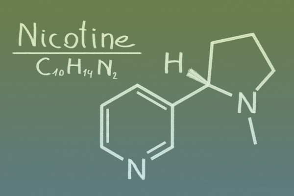 How bad is nicotine for your body.