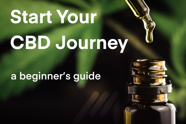 Beginners Guide to CBD